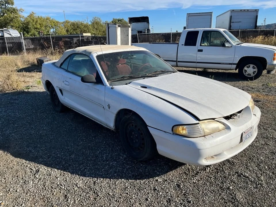 1995 Ford SN95 Mustang - Image 4 of 10