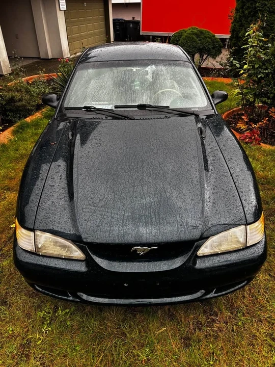 1995 Ford SN95 Mustang - Image 2 of 11