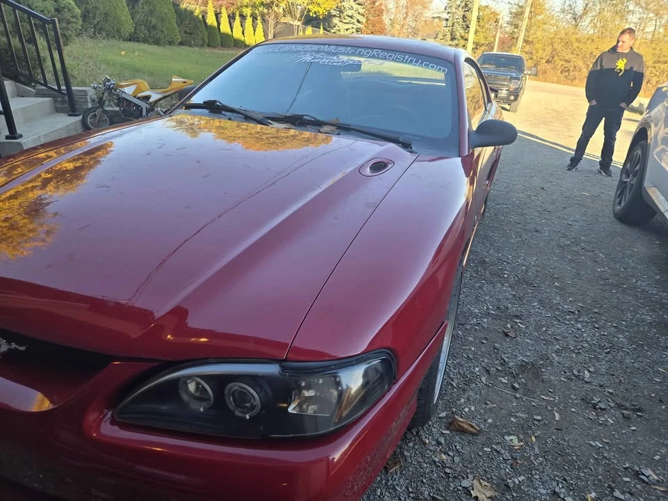 1995 Ford SN95 Mustang - Image 3 of 6