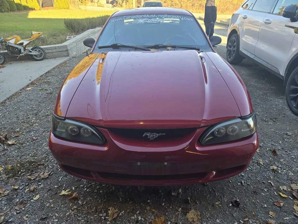 1995 Ford SN95 Mustang - Image 2 of 6