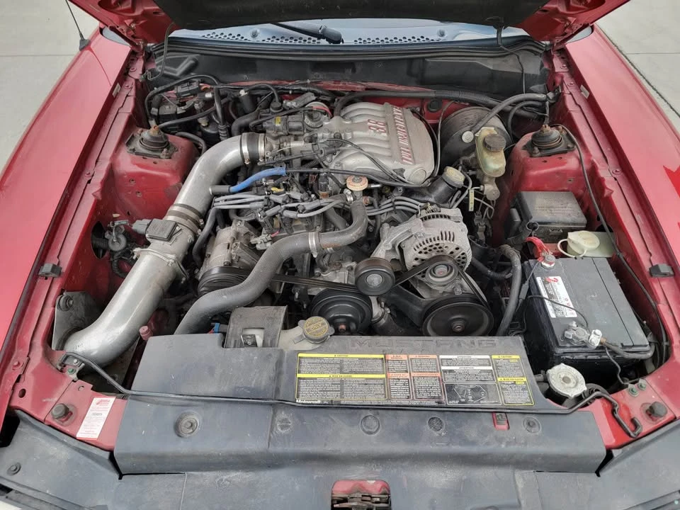 1995 Ford SN95 Mustang - Image 13 of 14