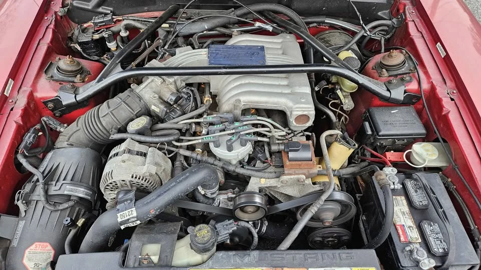 1995 Ford SN95 Mustang - Image 13 of 18