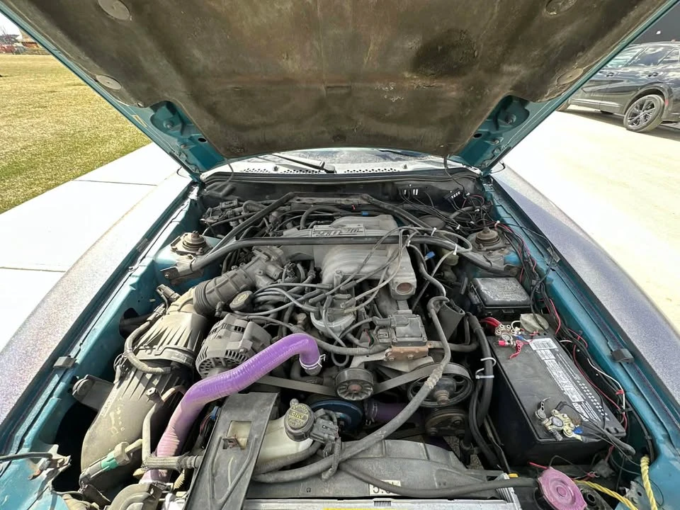 1995 Ford SN95 Mustang - Image 5 of 6