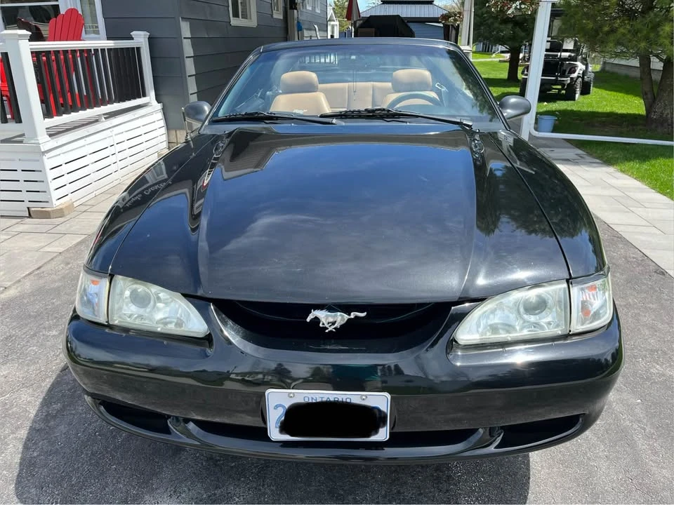 1995 Ford SN95 Mustang - Image 8 of 8