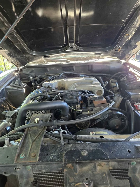 1995 Ford SN95 Mustang - Image 5 of 12