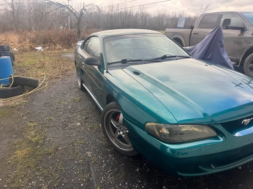 1995 Ford SN95 Mustang - Image 5 of 6