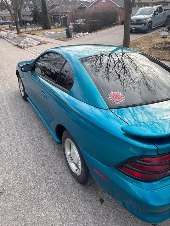 1995 Ford SN95 Mustang - Image 6 of 8