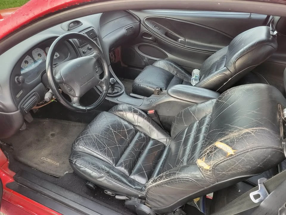 1995 Ford SN95 Mustang Cobra - Image 6 of 12
