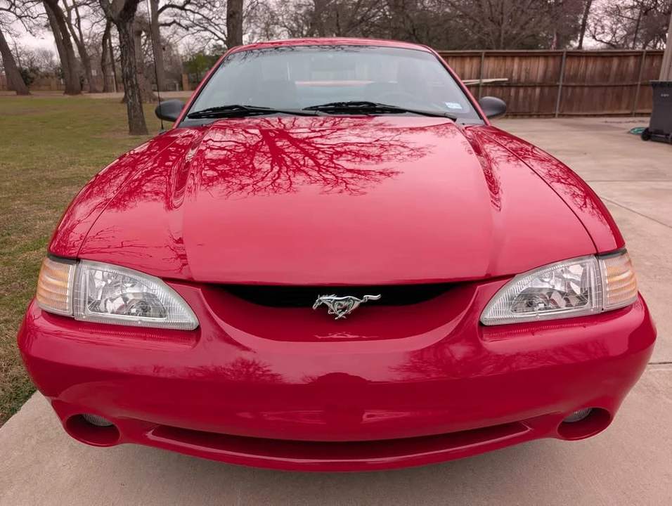 1995 Ford SN95 Mustang Cobra - Image 19 of 20