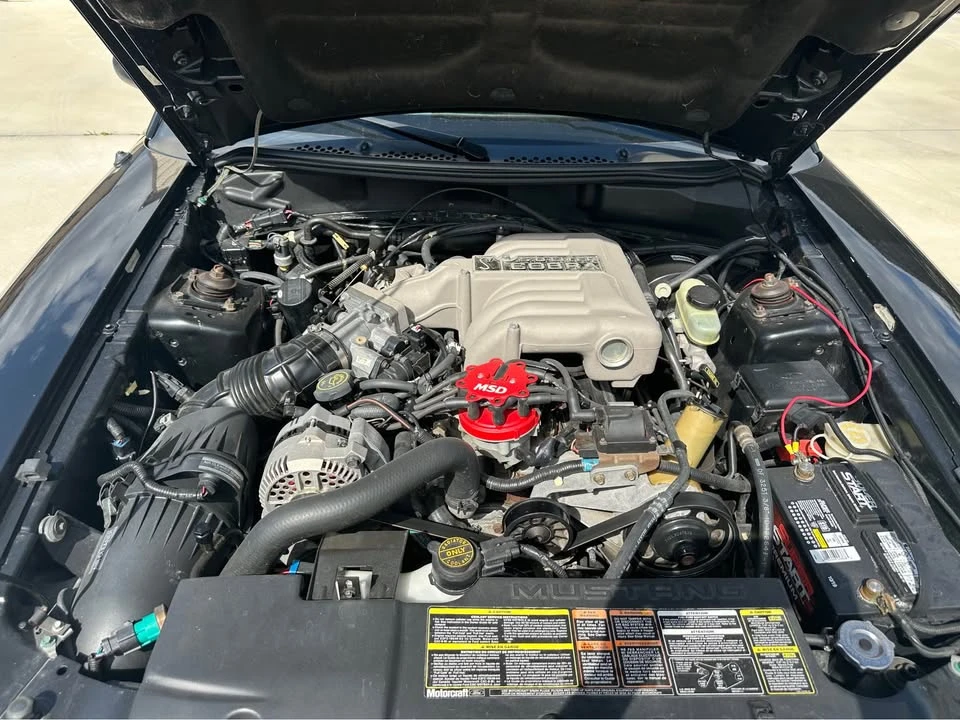 1995 Ford SN95 Mustang Cobra - Image 5 of 10