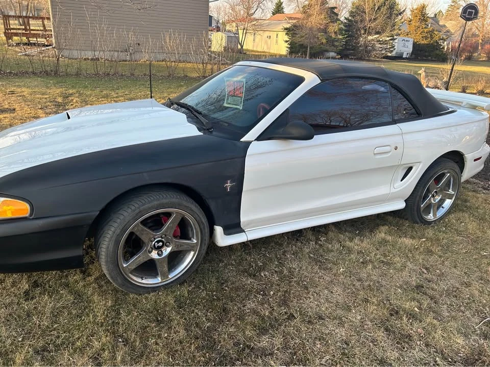 1995 Ford SN95 Mustang - Image 2 of 5