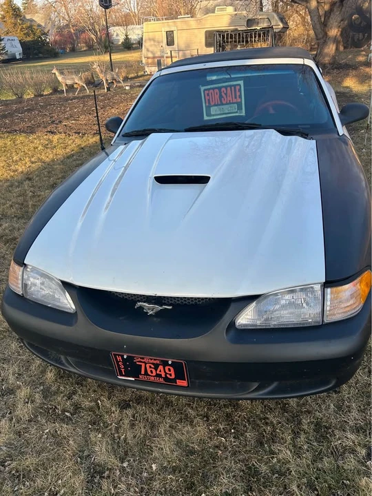 1995 Ford SN95 Mustang - Image 3 of 5