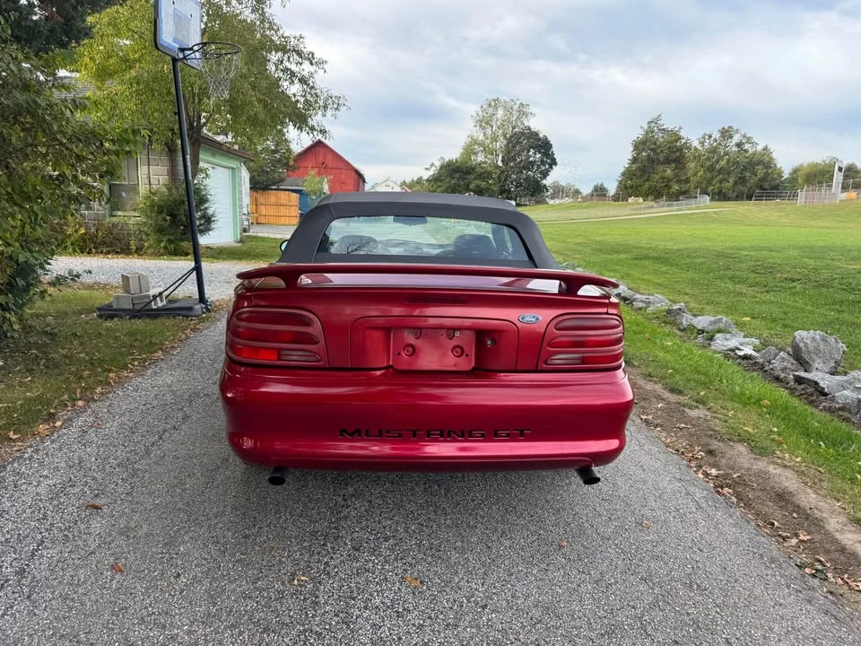 1995 Ford SN95 Mustang - Image 5 of 14