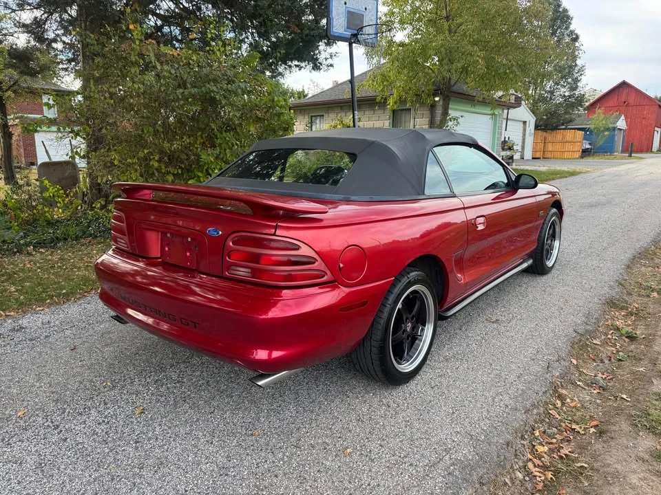 1995 Ford SN95 Mustang - Image 4 of 14