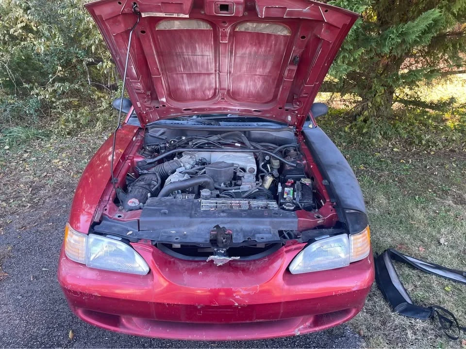 1995 Ford SN95 Mustang - Image 2 of 6