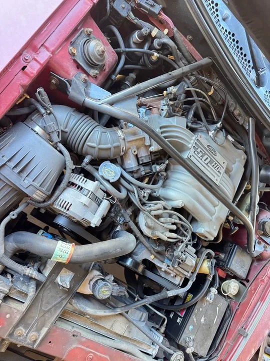 1995 Ford SN95 Mustang - Image 8 of 10