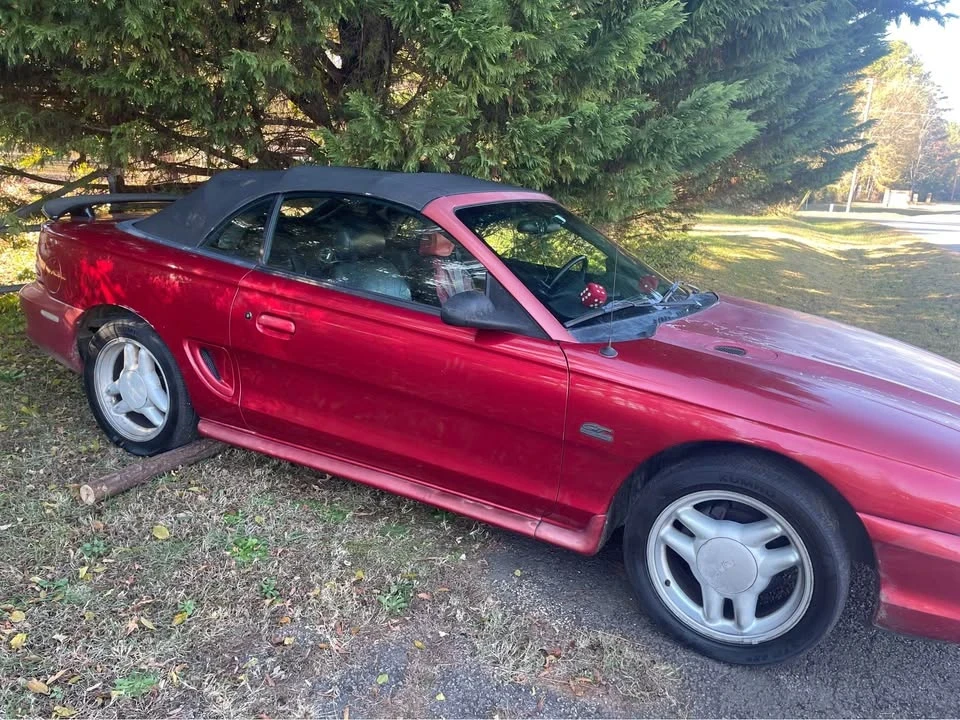 1995 Ford SN95 Mustang - Image 3 of 6