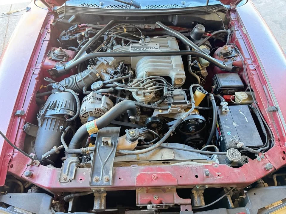1995 Ford SN95 Mustang - Image 7 of 10