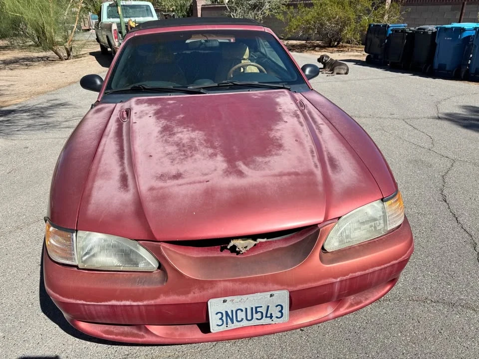 1995 Ford SN95 Mustang - Image 5 of 10