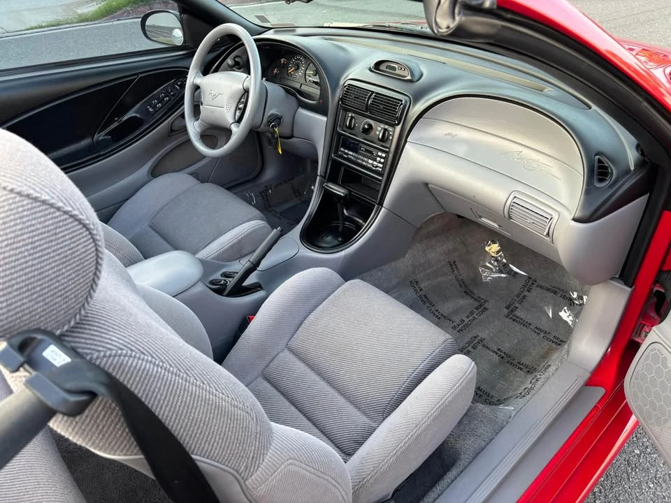 1995 Ford SN95 Mustang - Image 14 of 18