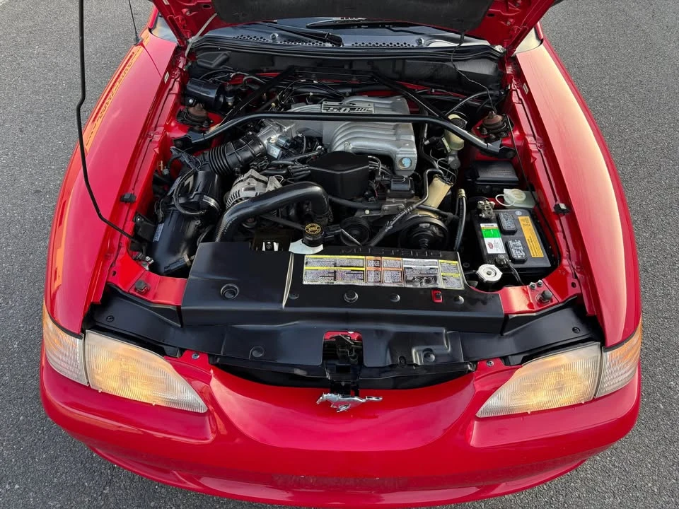 1995 Ford SN95 Mustang - Image 18 of 18