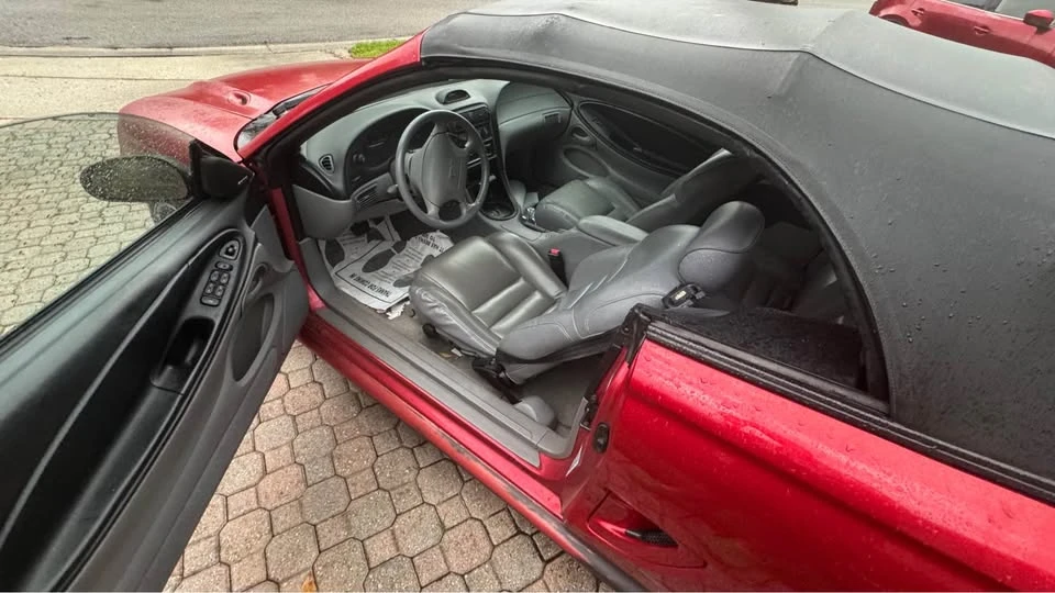 1995 Ford SN95 Mustang - Image 6 of 19