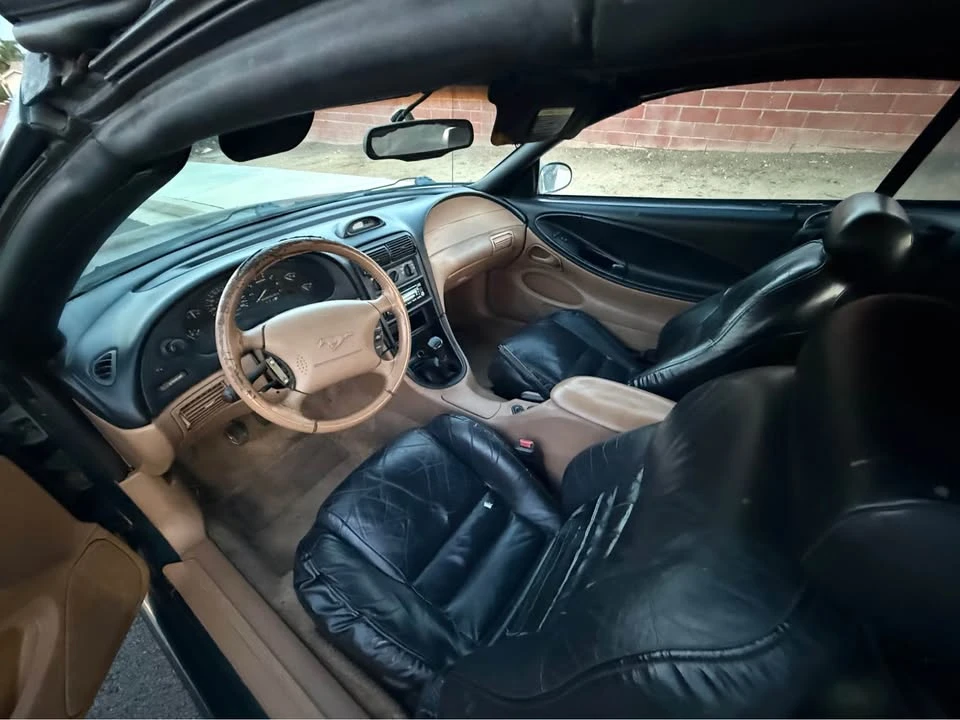 1995 Ford SN95 Mustang - Image 8 of 10