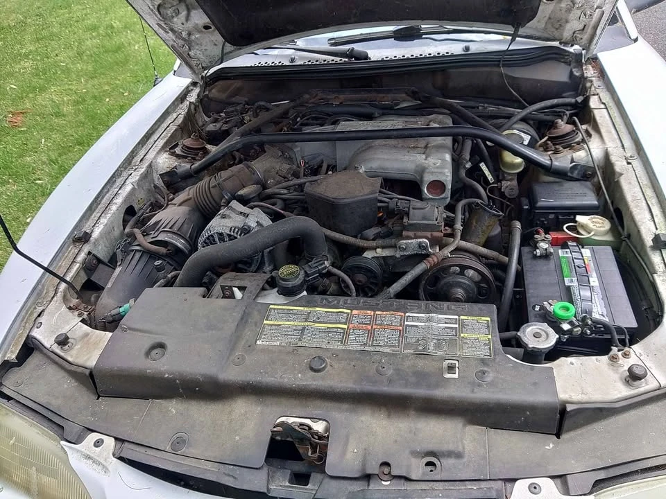 1995 Ford SN95 Mustang - Image 3 of 11