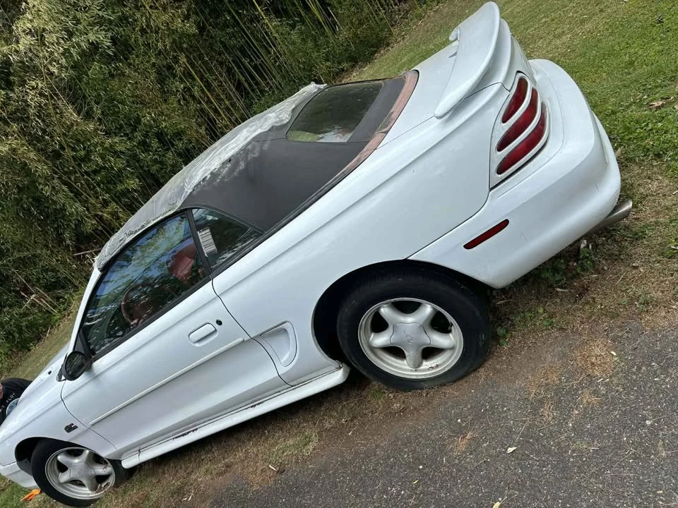 1995 Ford SN95 Mustang - Image 11 of 11