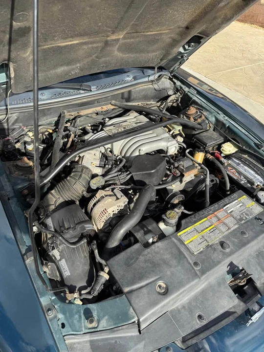 1995 Ford SN95 Mustang - Image 15 of 19