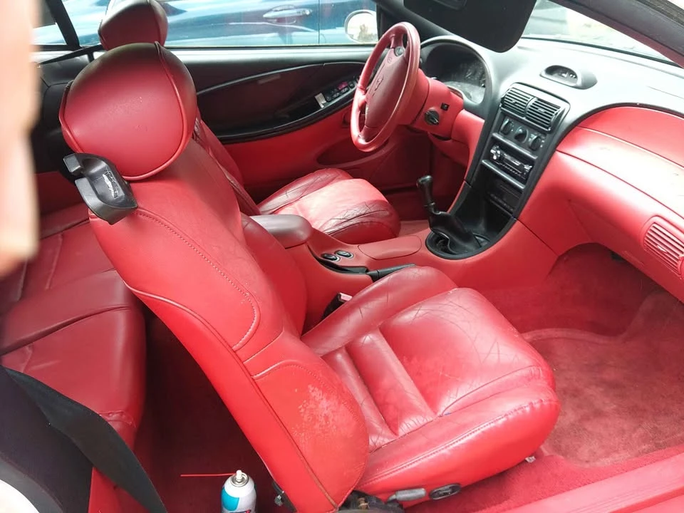 1995 Ford SN95 Mustang - Image 6 of 11