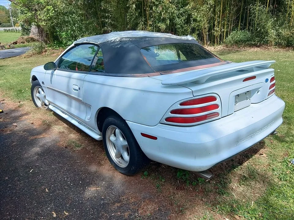 1995 Ford SN95 Mustang - Image 2 of 11
