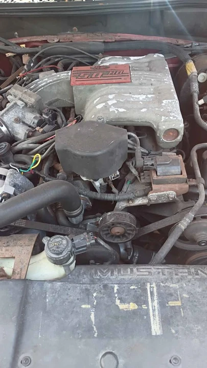 1995 Ford SN95 Mustang - Image 3 of 10