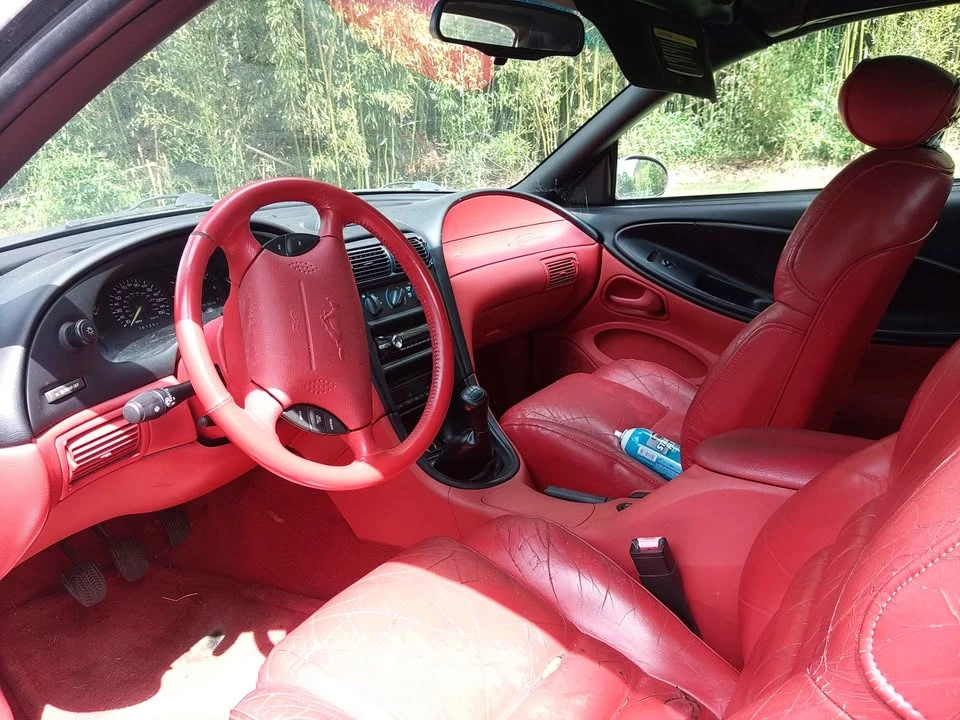 1995 Ford SN95 Mustang - Image 5 of 11