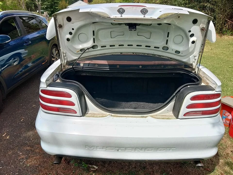 1995 Ford SN95 Mustang - Image 4 of 11