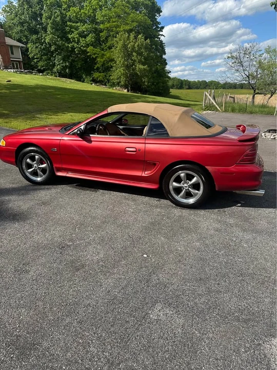 1995 Ford SN95 Mustang - Image 4 of 19