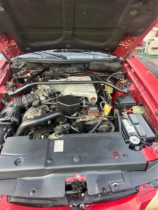 1995 Ford SN95 Mustang - Image 15 of 19