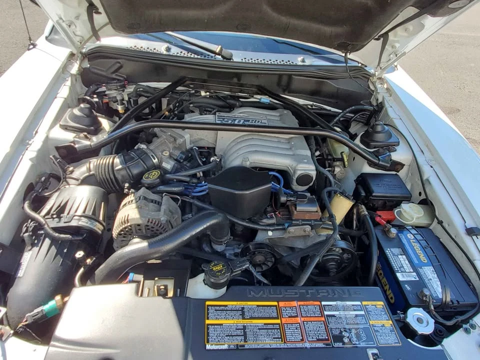 1995 Ford SN95 Mustang - Image 15 of 15
