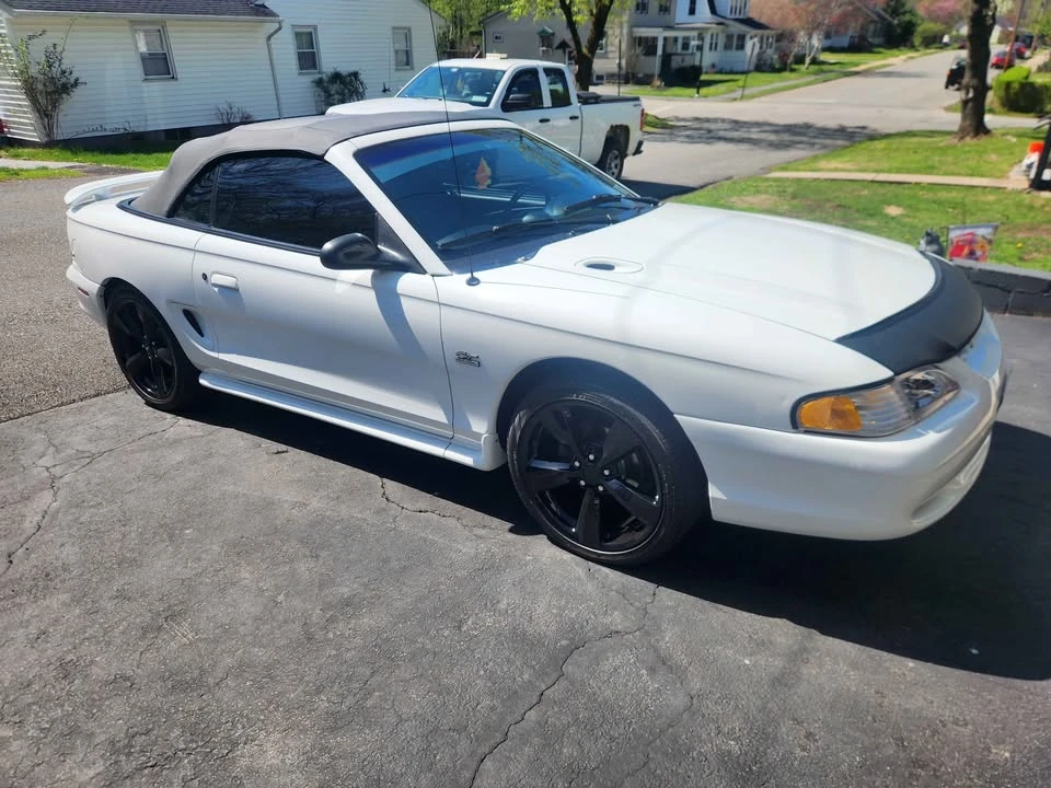 1995 Ford SN95 Mustang - Image 5 of 15
