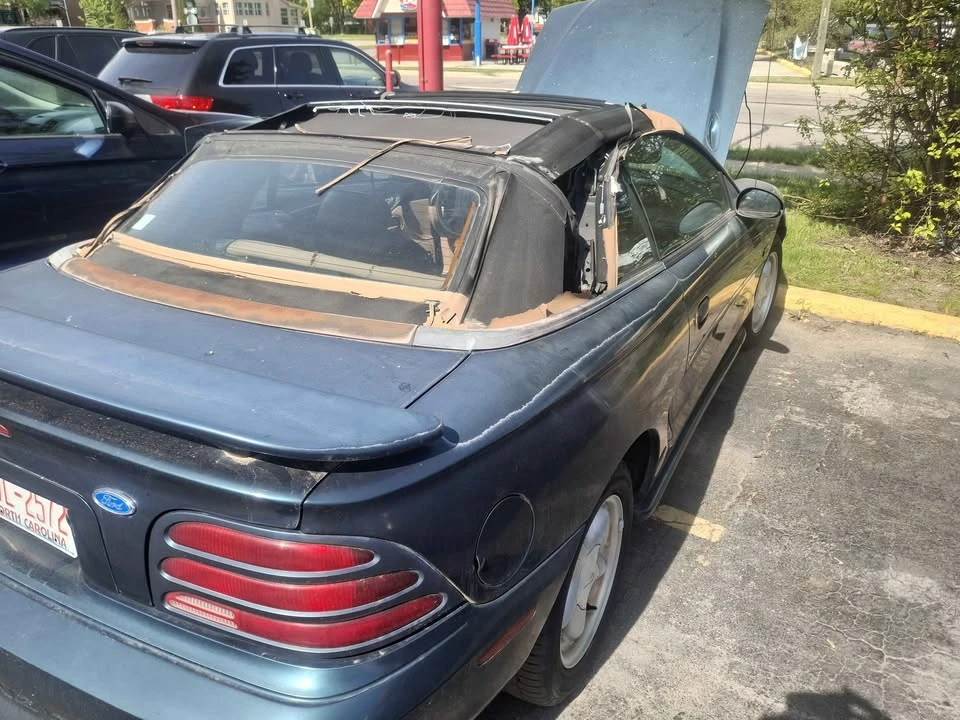 1995 Ford SN95 Mustang - Image 3 of 11