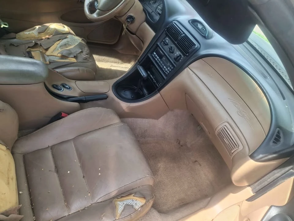 1995 Ford SN95 Mustang - Image 11 of 11