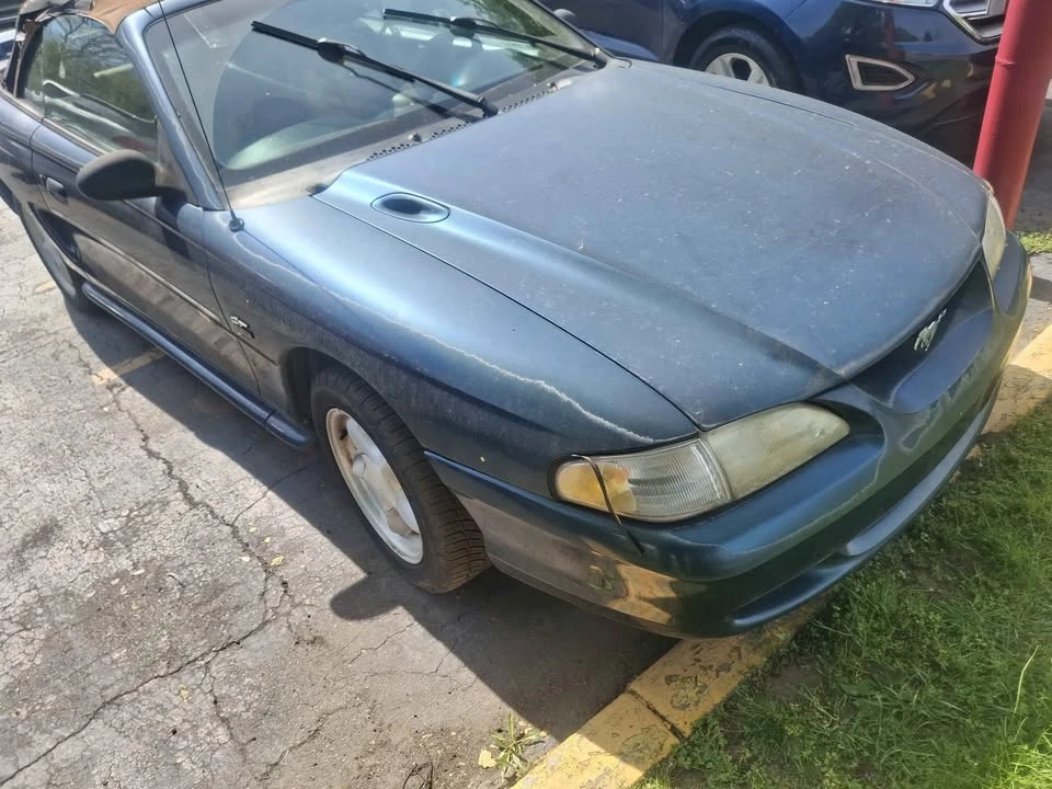 1995 Ford SN95 Mustang - Image 2 of 11