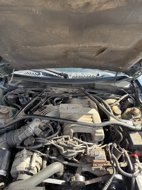 1995 Ford SN95 Mustang - Image 5 of 10