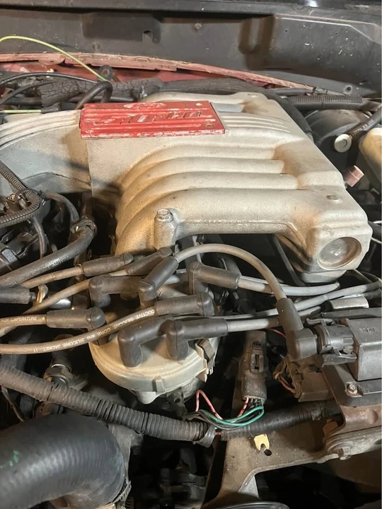 1995 Ford SN95 Mustang - Image 11 of 17