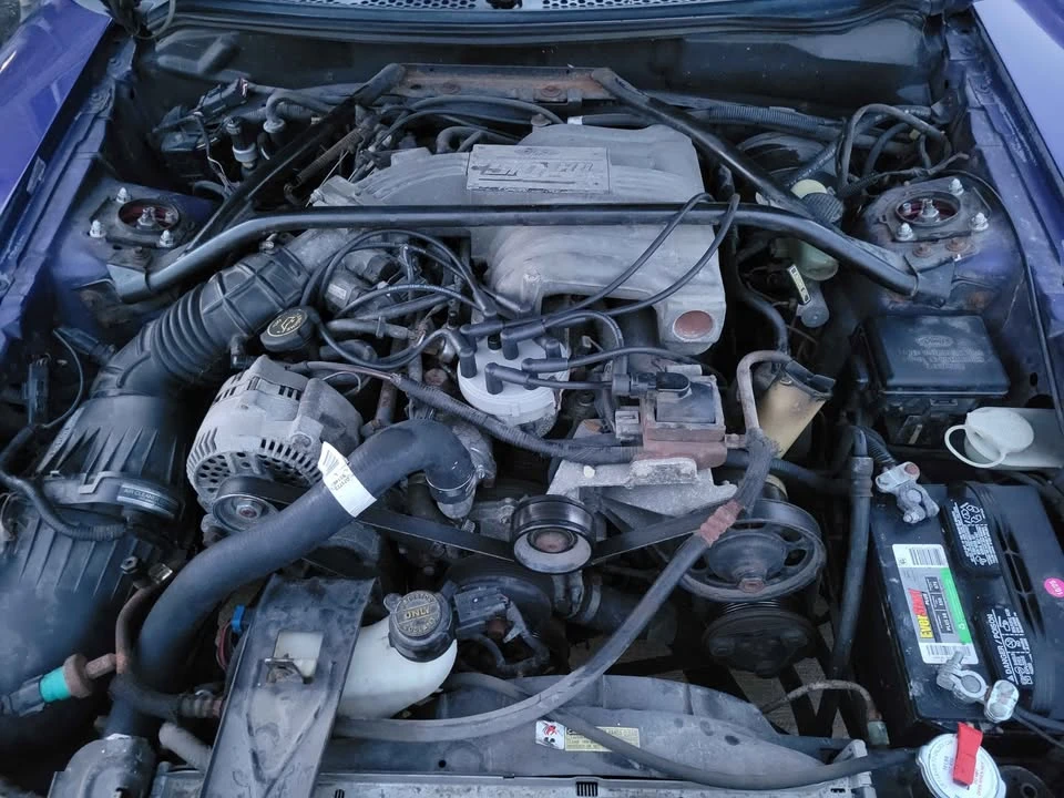 1995 Ford SN95 Mustang - Image 8 of 8