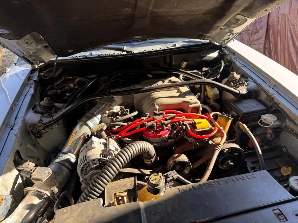 1995 Ford SN95 Mustang - Image 7 of 16
