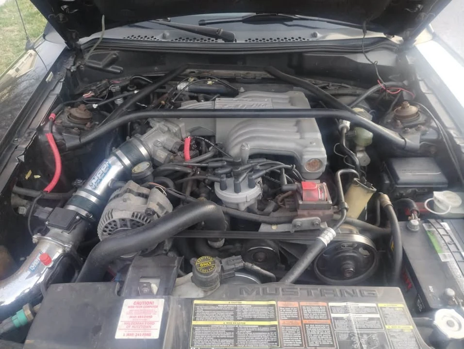 1995 Ford SN95 Mustang - Image 4 of 20