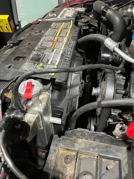 1995 Ford SN95 Mustang - Image 14 of 20