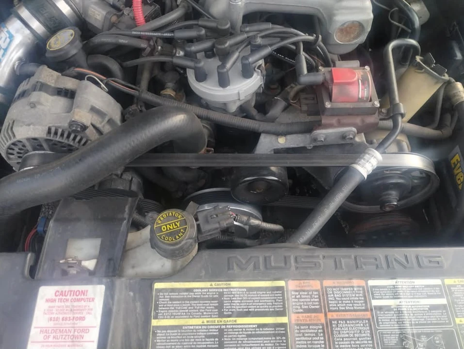 1995 Ford SN95 Mustang - Image 16 of 20