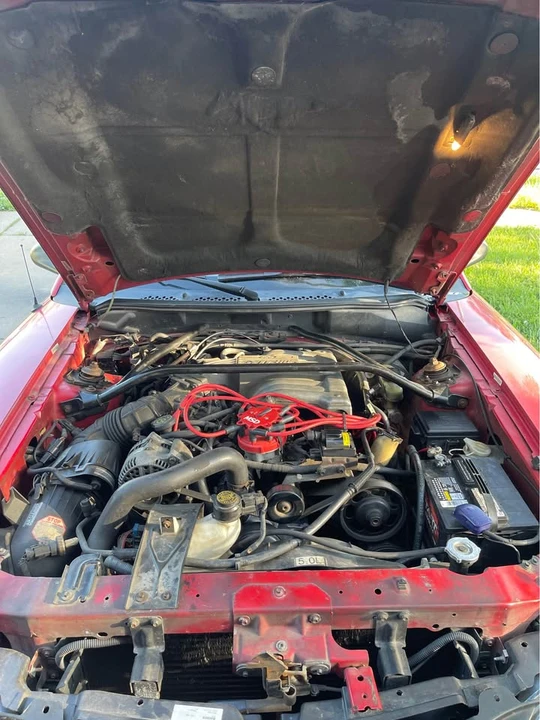 1995 Ford SN95 Mustang - Image 6 of 9